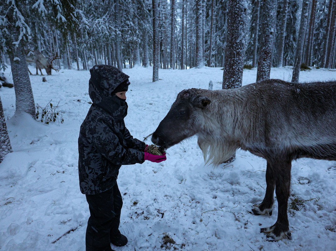 Sieriporo Safaris-罗瓦涅米必去景点