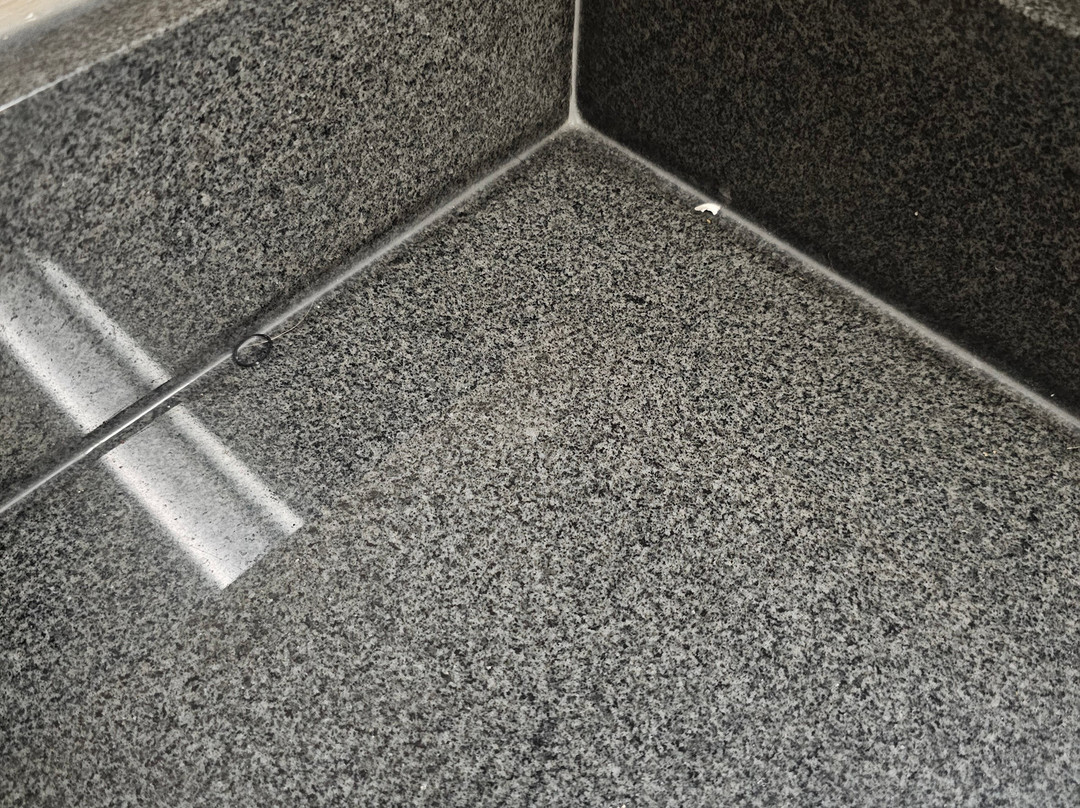 Best Western Woodhaven Inn主图