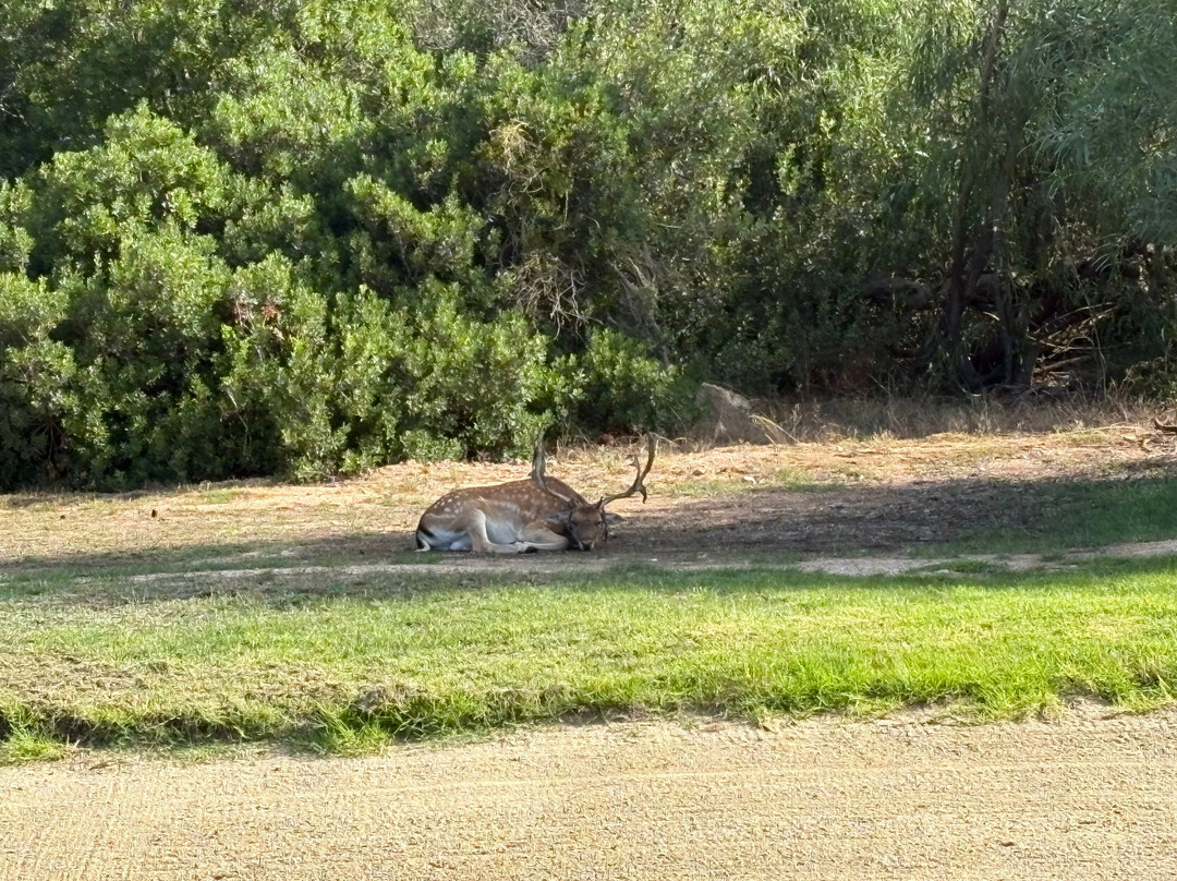 Is Molas Golf Club-普拉必去景点