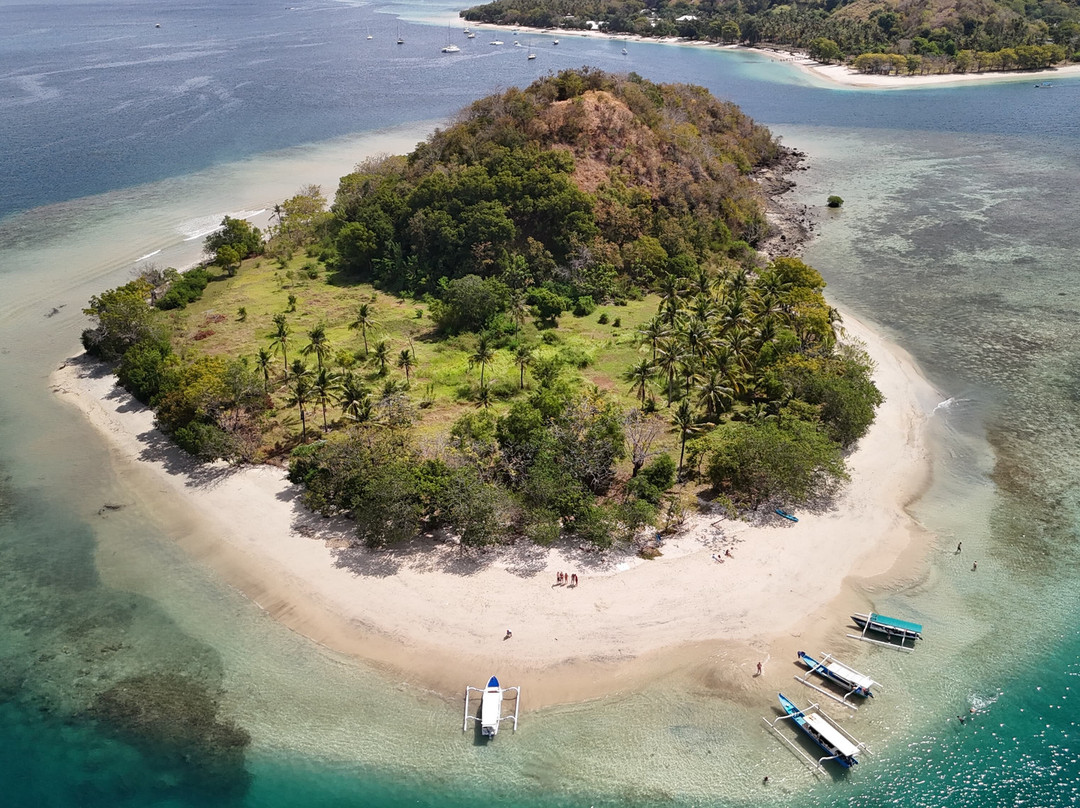 Mango Homestay主图