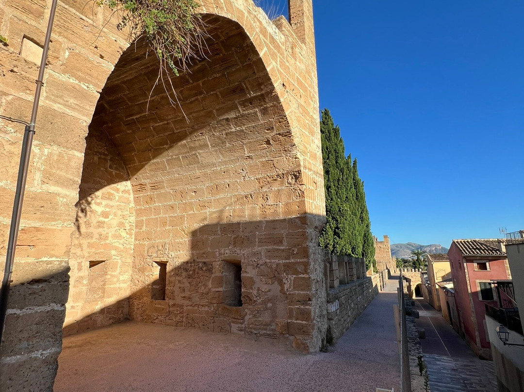 Murada Medieval D'alcúdia-阿库迪亚必去景点