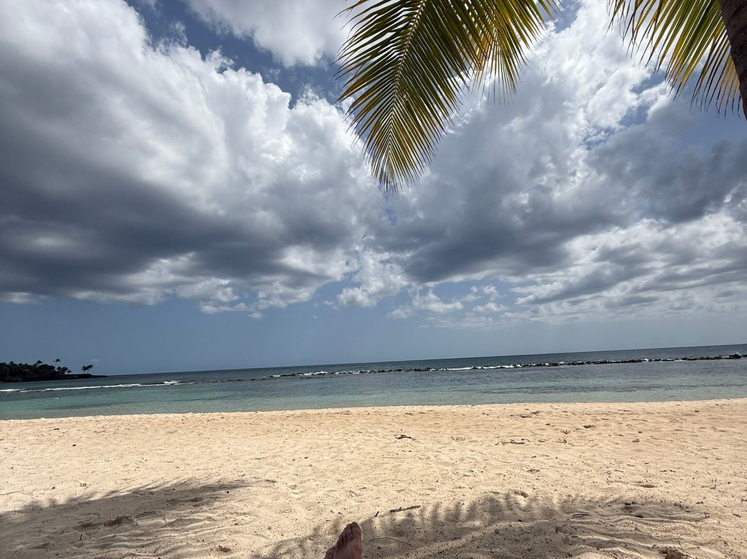 Santo Domingo's Valdemar-圣多明哥必去景点