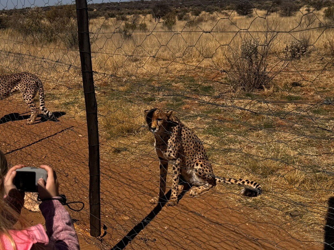 Naankuse Wildlife Sanctuary-温德和克必去景点