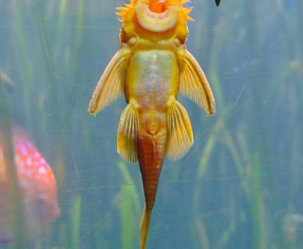 Aquarium De Touraine-Lussault-sur-Loire必去景点