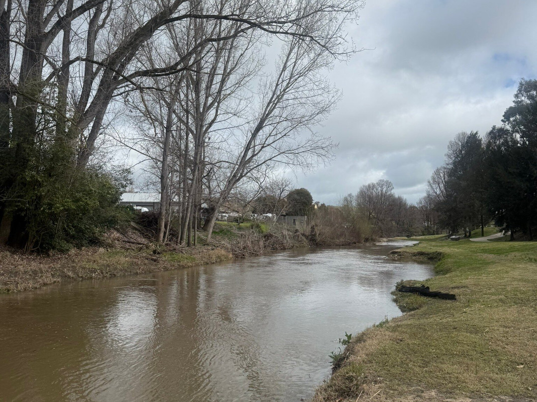 Adelong Golden Gully Caravan Park