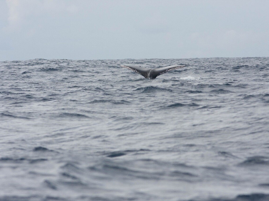 Ecosul Turismo-Ilheus必去景点