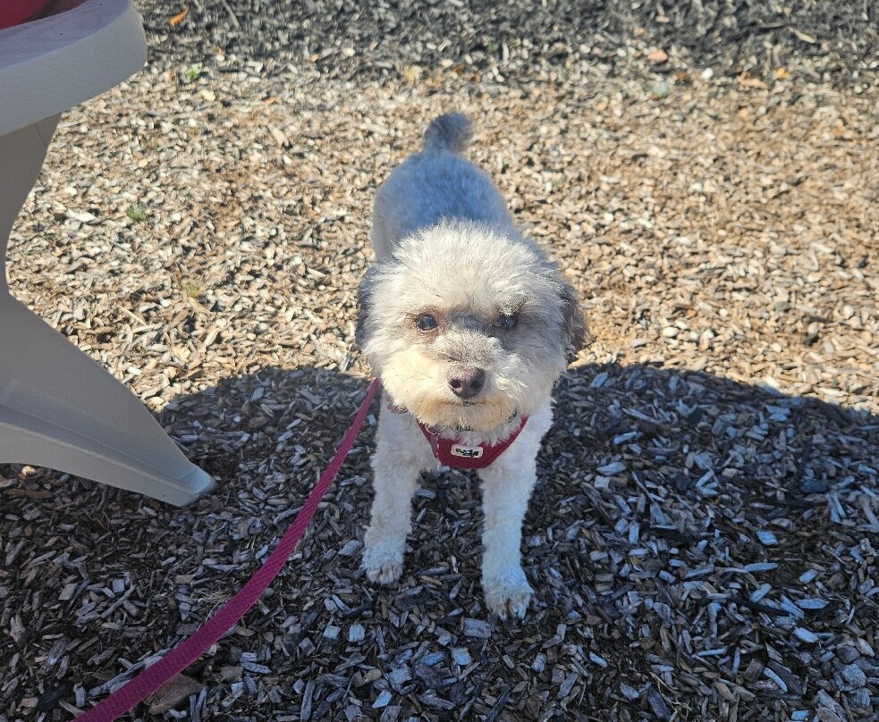 Knox Vineyards-Chalfont必去景点