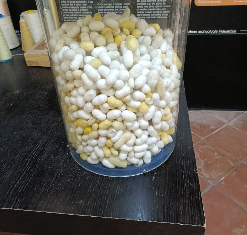 Museo della Seta del Real Belvedere-San Leucio必去景点