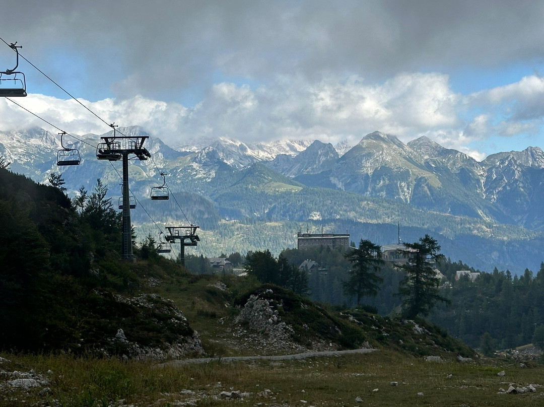 Vogel Cable Car