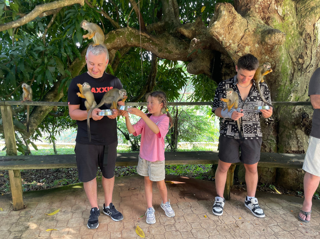 Monkeyland At Samaná-Santa Barbara de Samana必去景点