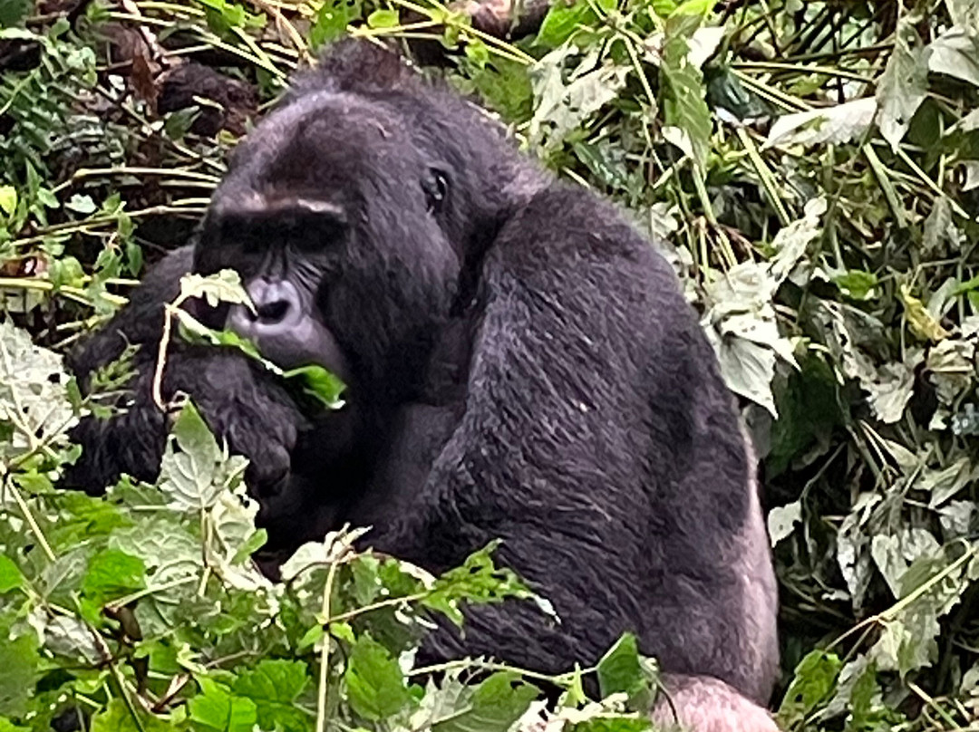 Prime Safaris & Tours-坎帕拉必去景点