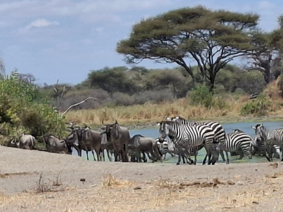 Golden Dream Safaris-阿鲁沙必去景点