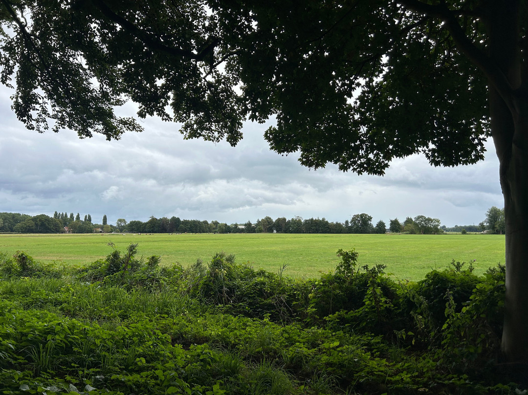 Holland Bike Tours-哈勒姆必去景点