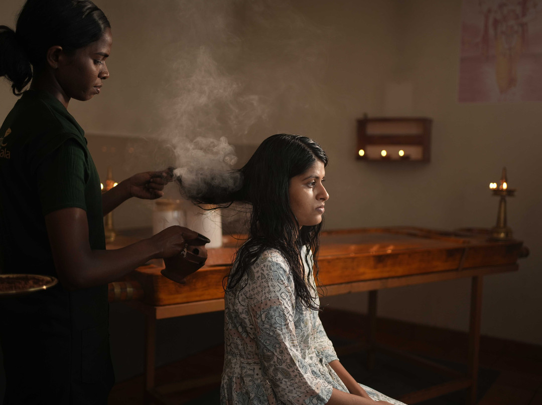 Ennakathara Arya Vaidya Sala-Chottanikkara必去景点