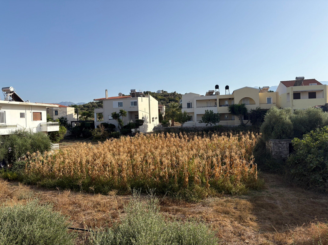 Niriides Hotel Apts Studios主图