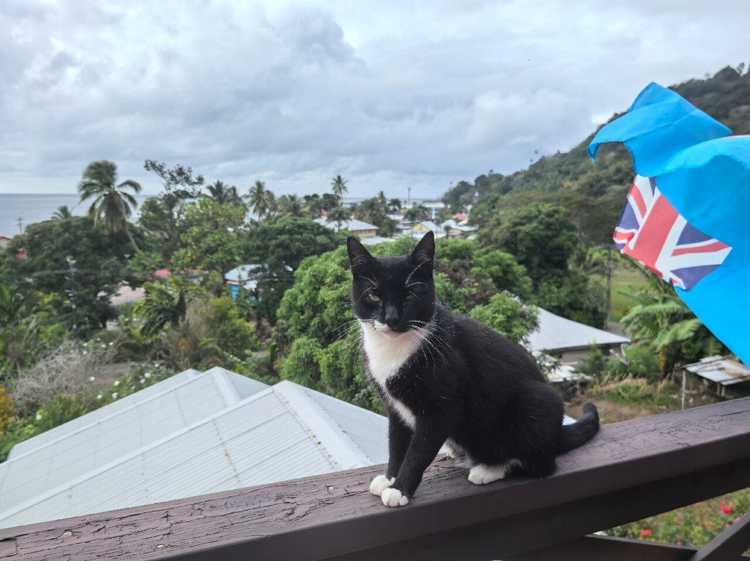 Levuka Homestay主图