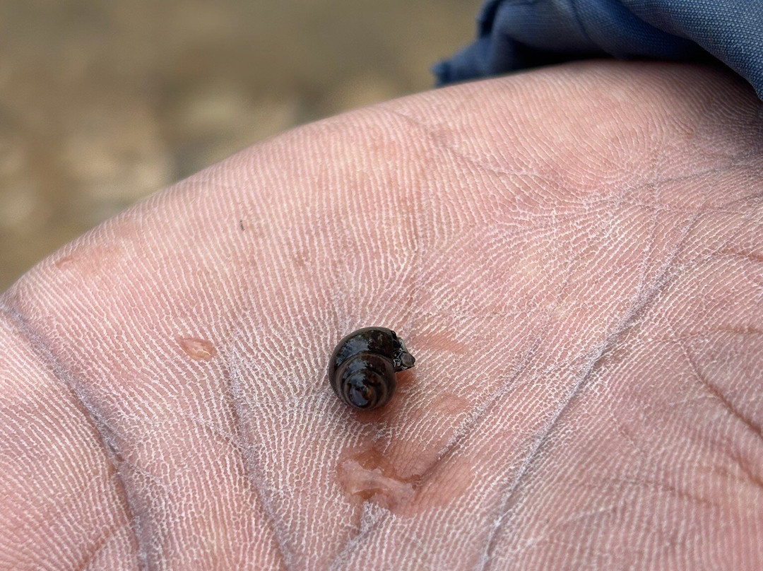 Andrews Eco Tours and Taxi-奴娃拉伊利雅必去景点