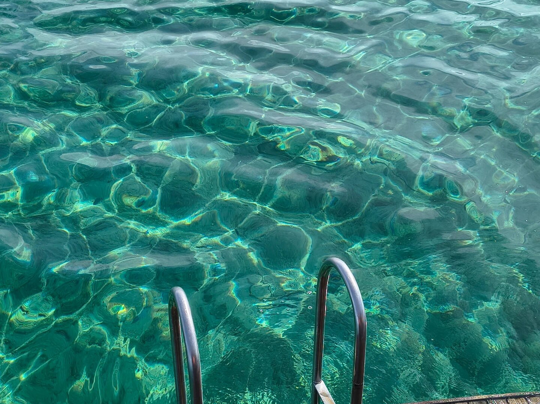 Asinara Charter Service-斯廷蒂诺必去景点