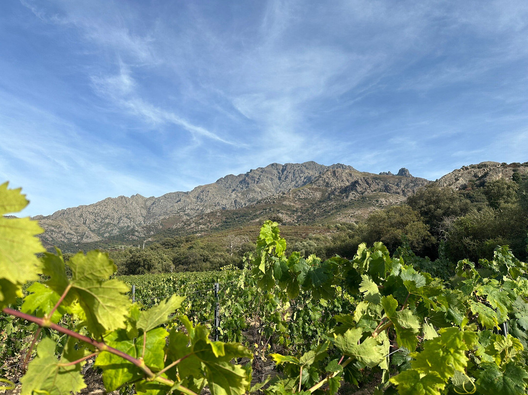 Ce Qui Nous Lie-Calenzana必去景点