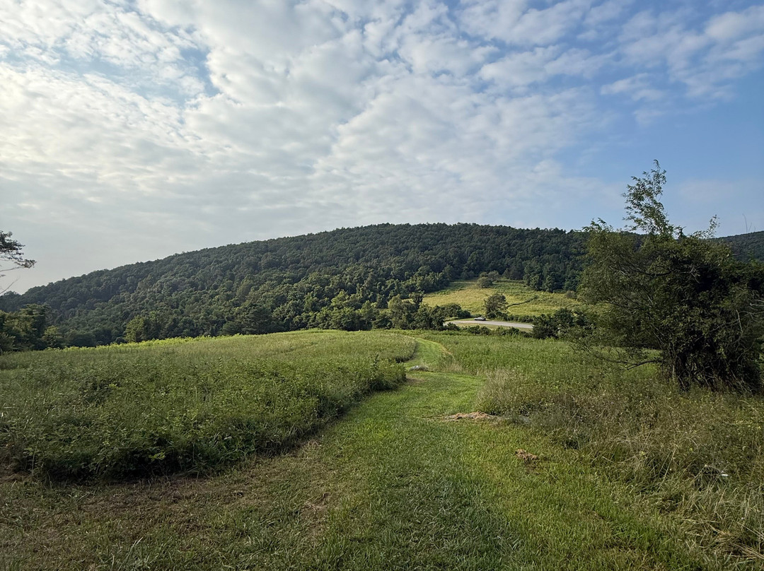 Quality Inn Waynesboro - Skyline Drive主图