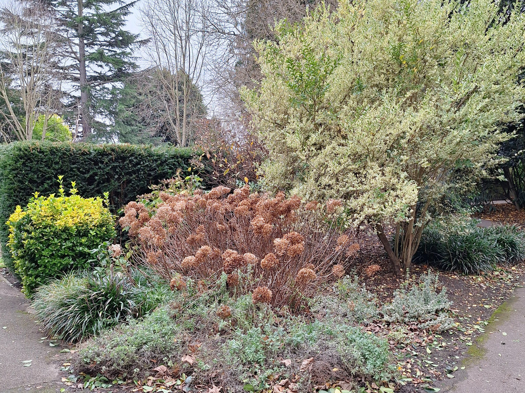 York House Gardens-特威克纳姆必去景点