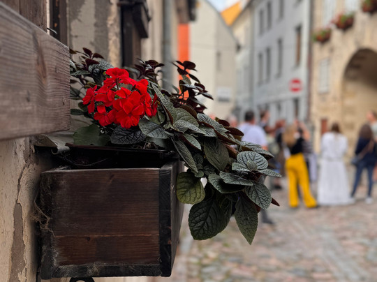 RIGA 11:00-里加必去景点