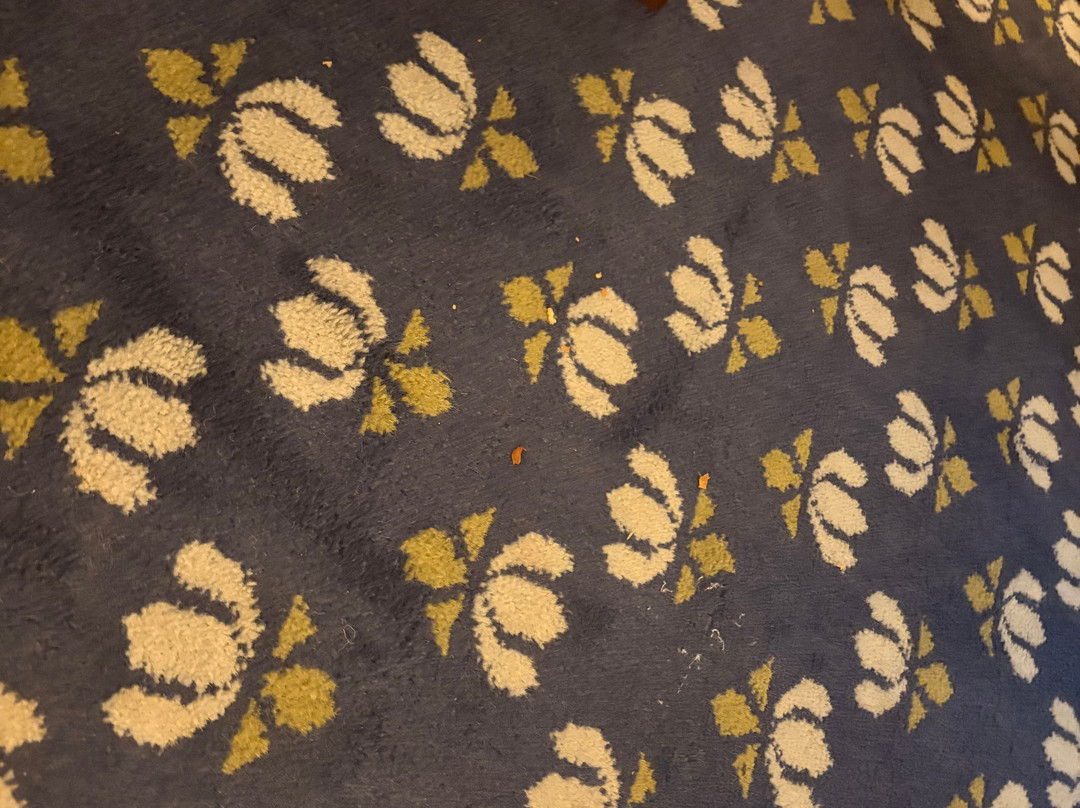 Faisalabad Serena Hotel主图