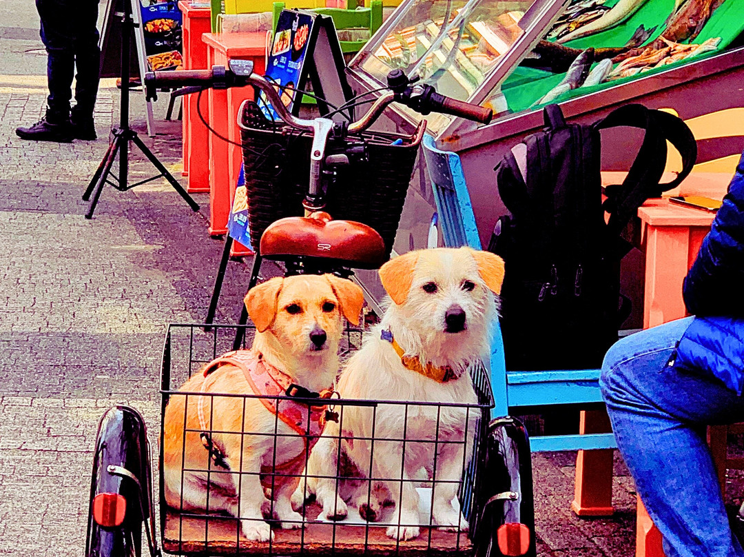 Princes' Islands Tour-Adalar必去景点