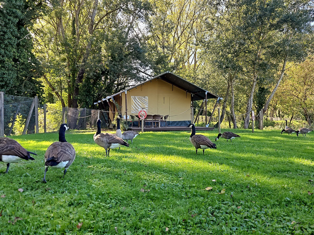 Leo Wild Park-托迪必去景点