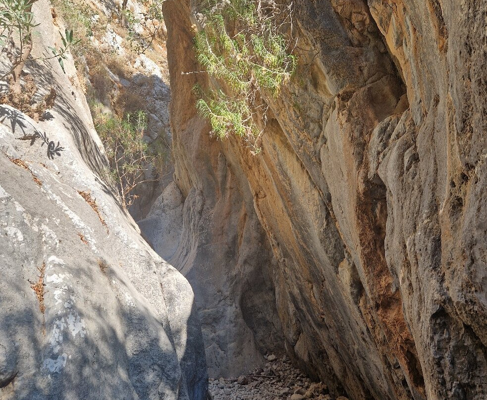 Kritsa Gorge-Kritsa必去景点