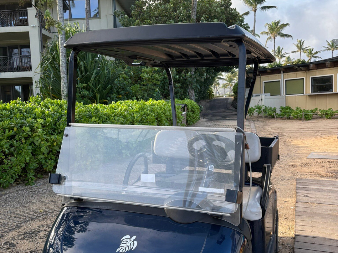 Turtle Bay Beach-卡胡库必去景点