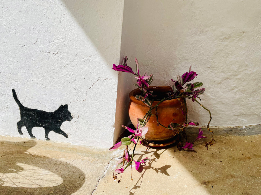 El Molino Santisteban主图