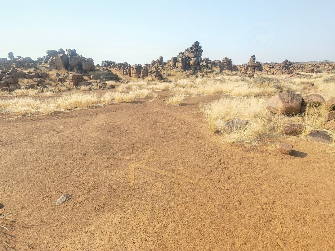 Quivertree Forest and Giant's Playground-Keetmanshoop必去景点