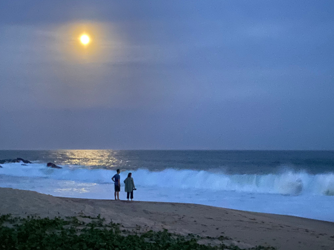 Tango Tours Sri Lanka-唐卡拉必去景点