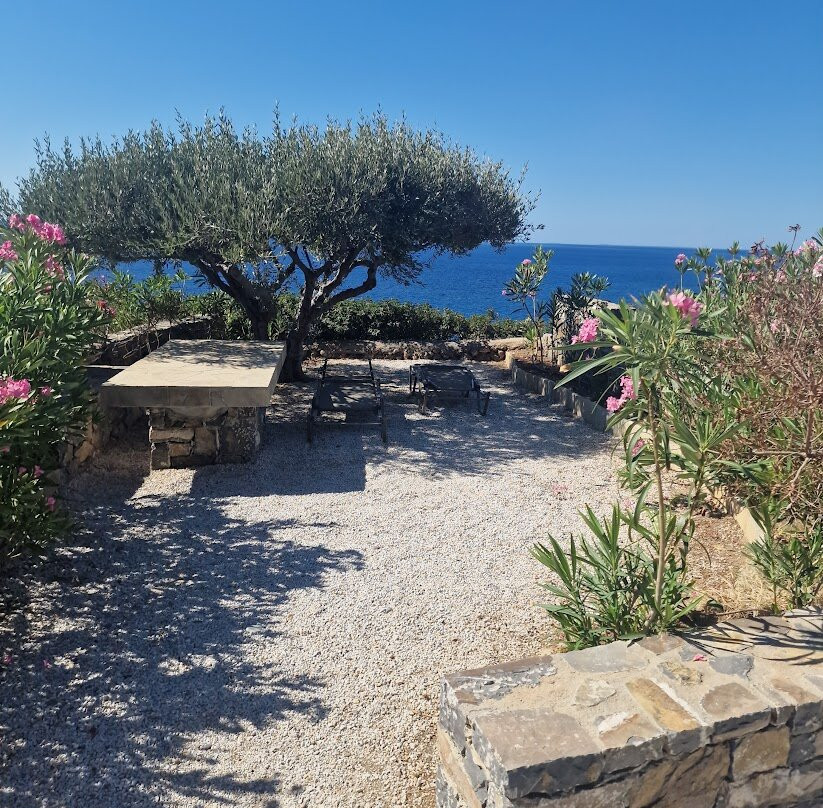 Ferma Solaris Apartments主图