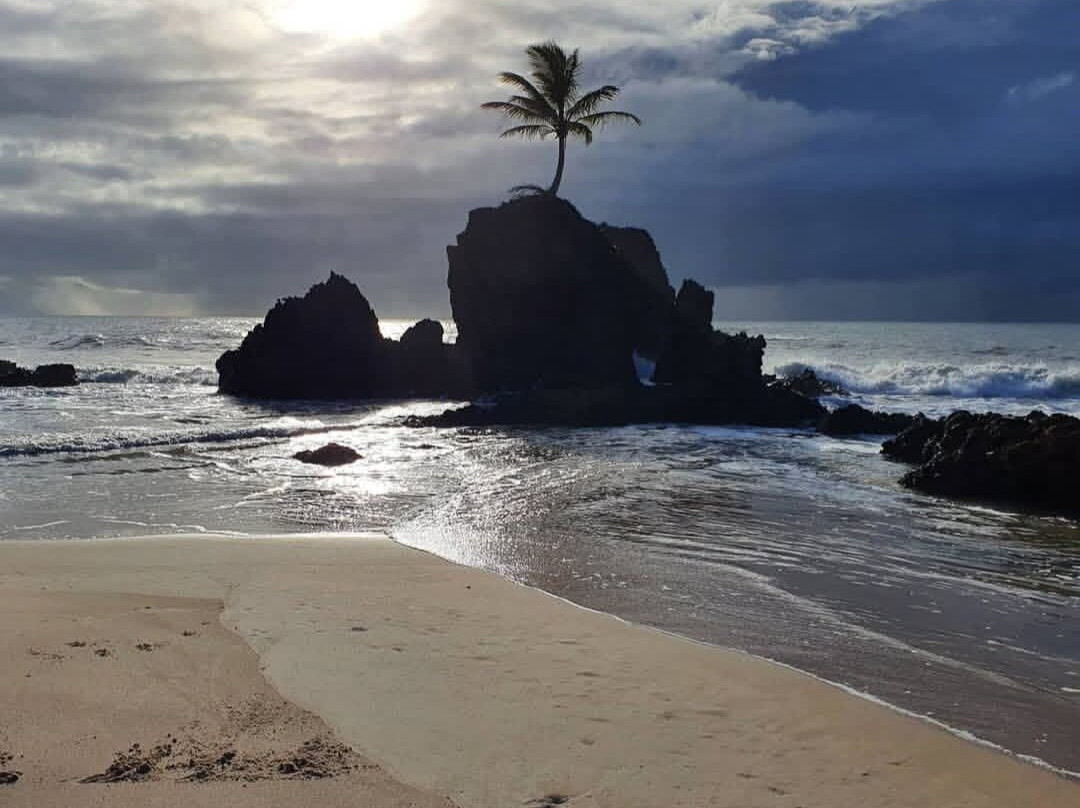 Praia de Tambaba-Conde必去景点