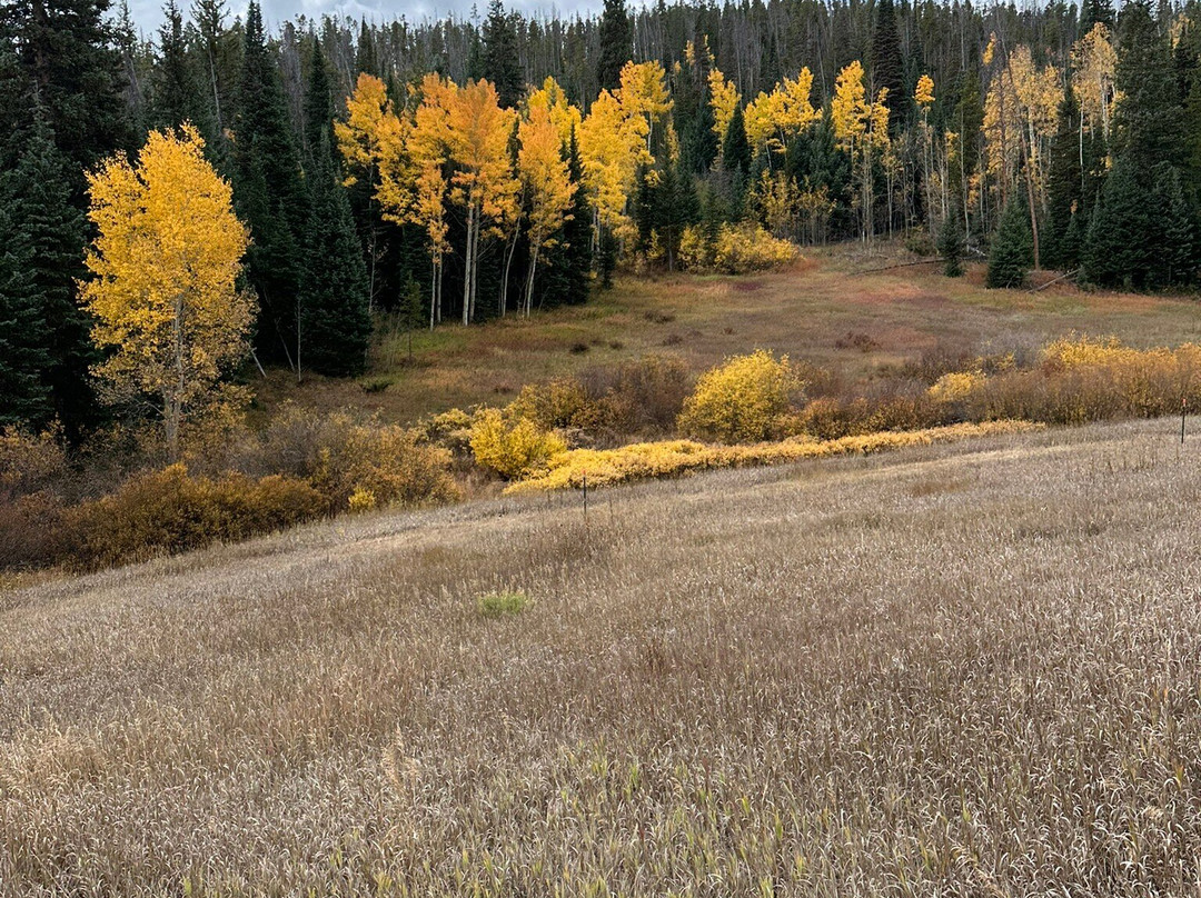 Rocky Mountain Stables-格兰比必去景点