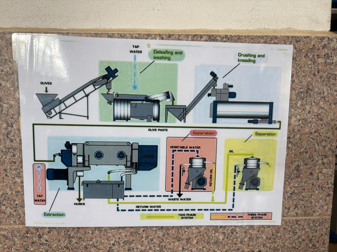 Gjikondi Olive Oil Factory-Qeparo必去景点