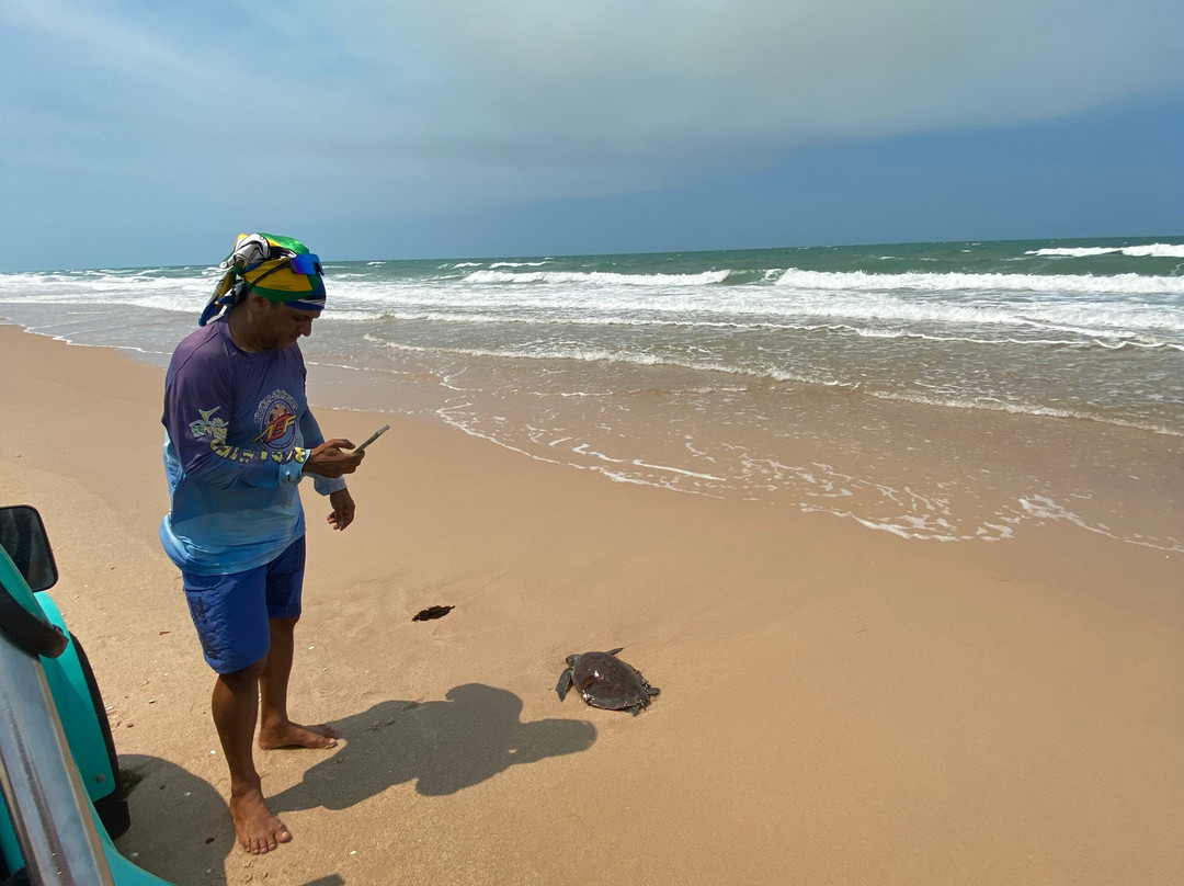 Rogerio Bugueiro-Fortim必去景点