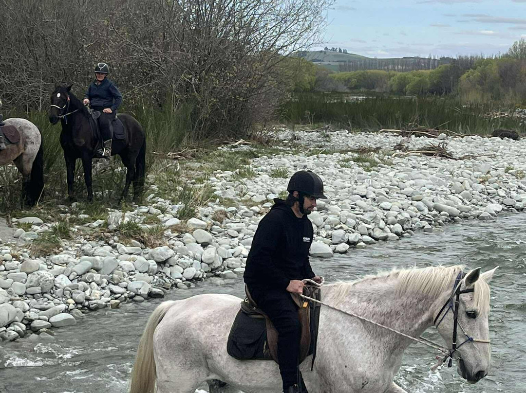 Real Kiwi Horse Trekking-菲尔利必去景点