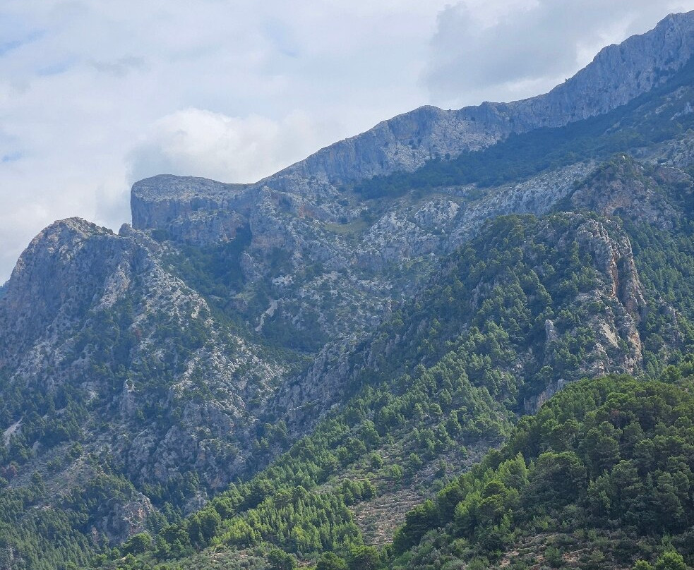 Tren de Sóller-索耶尔必去景点