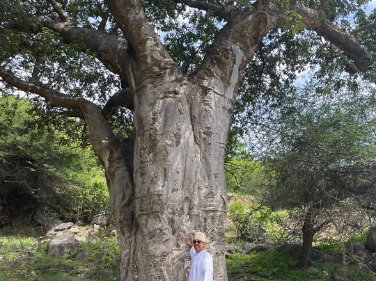 Salalah Safari Tours (Your Way, Your Stay)-塞拉莱必去景点