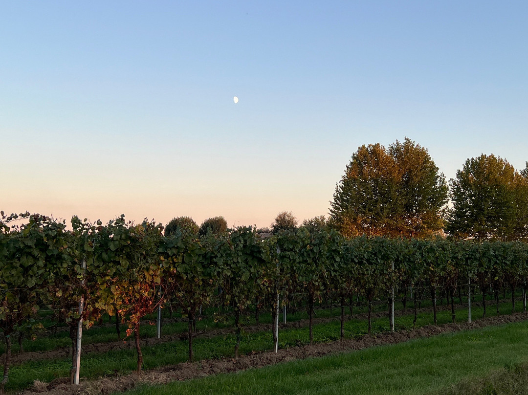 AGRITURISMO LE CIPRESSINE主图