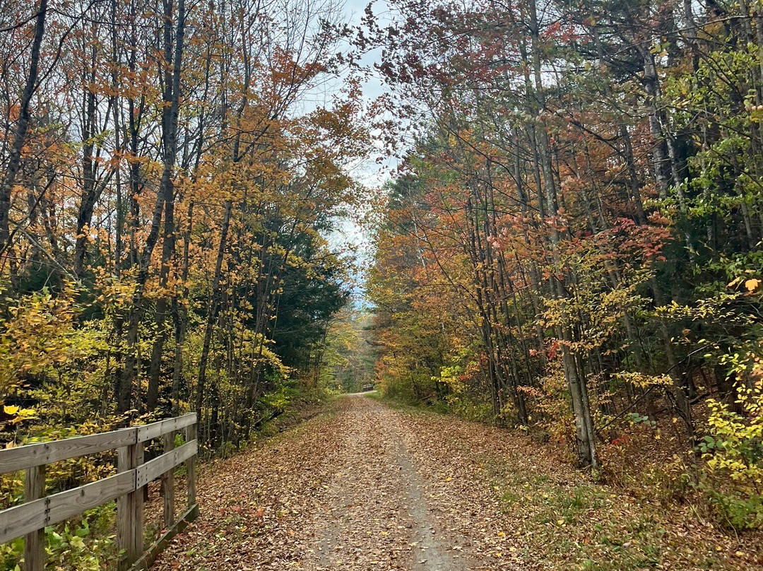 Lamoille Valley Bike Tours-Johnson必去景点