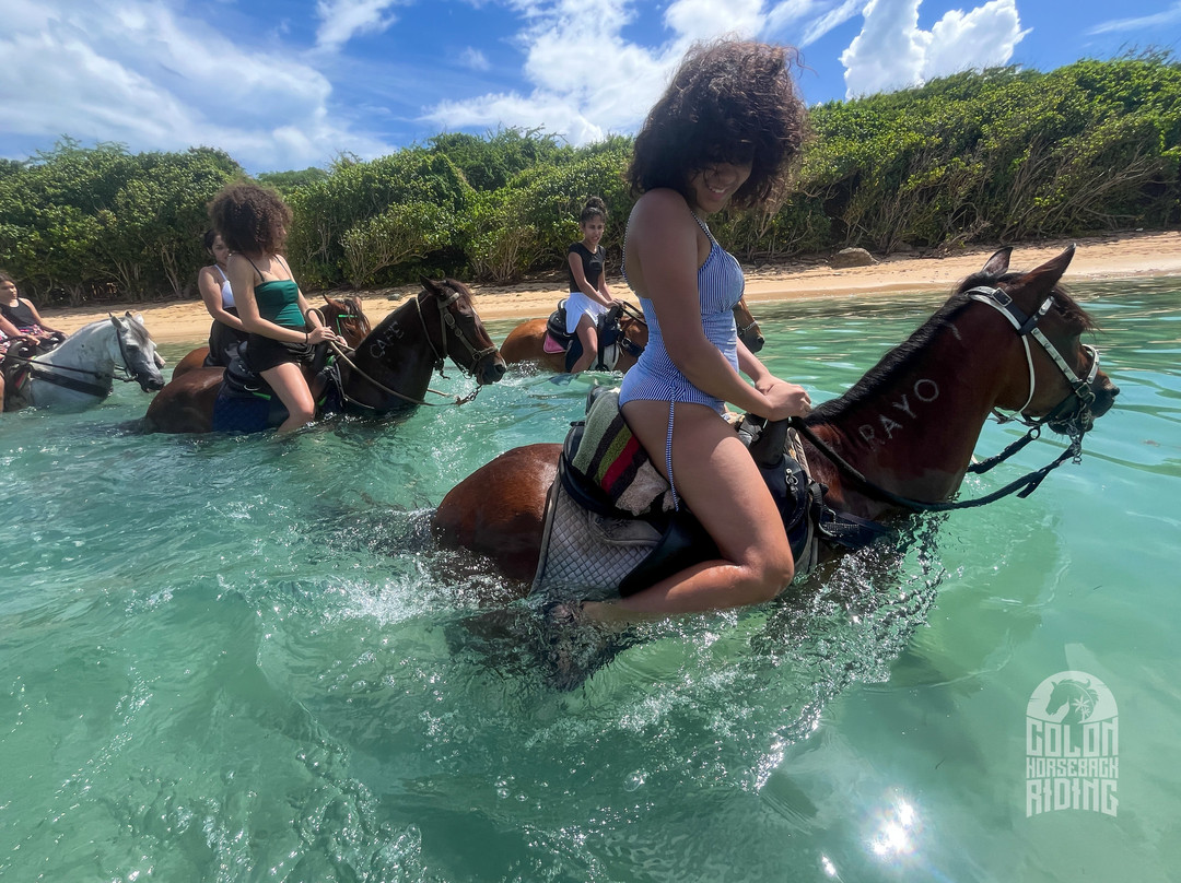 Colon Horseback Riding-维切克岛必去景点
