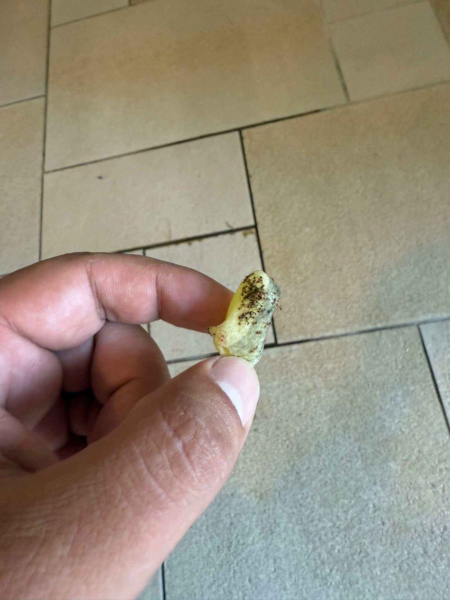 Grecotel  Riviera Olympia & Aqua Park-客卧