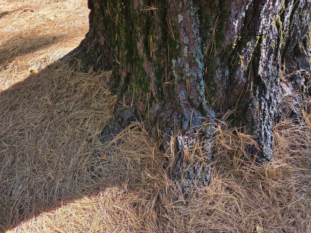 Jay Cooke State Park-Carlton必去景点