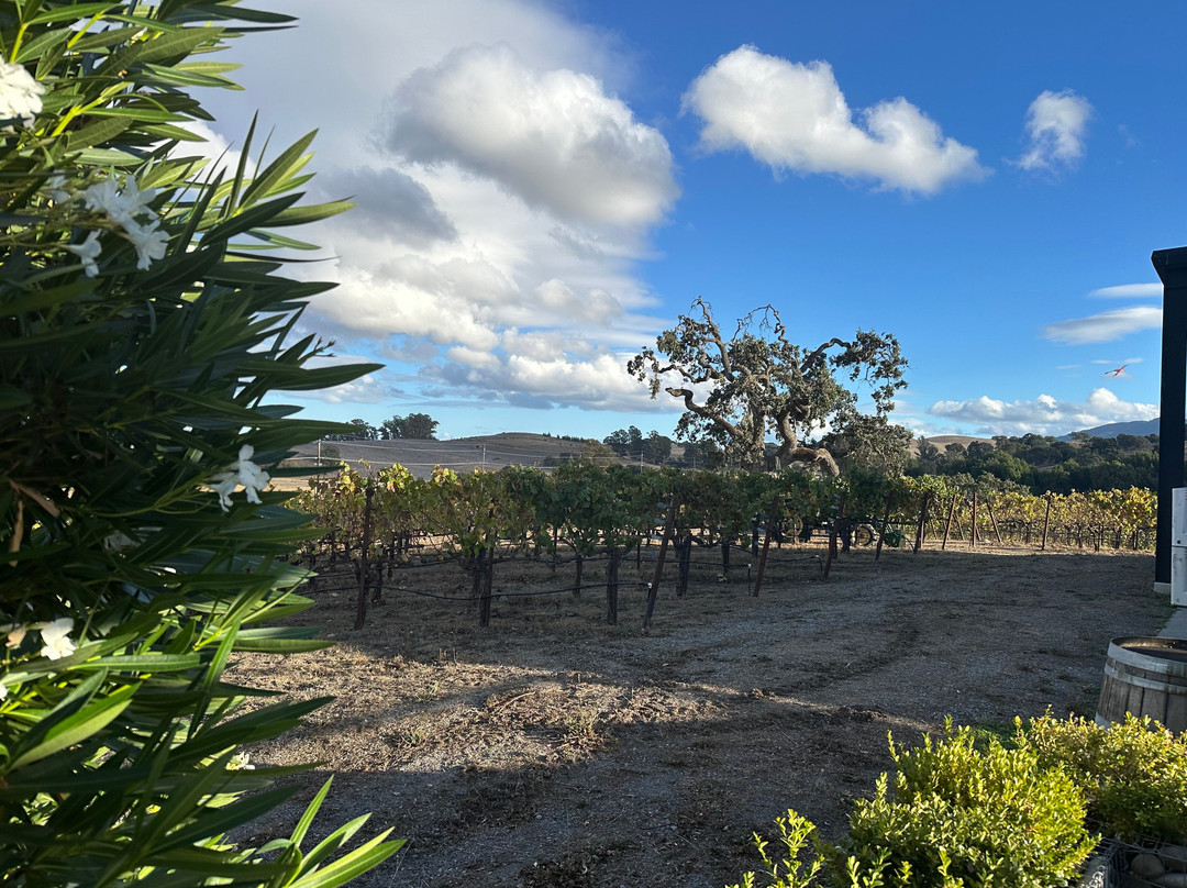 Parum Leo-佩塔卢马必去景点