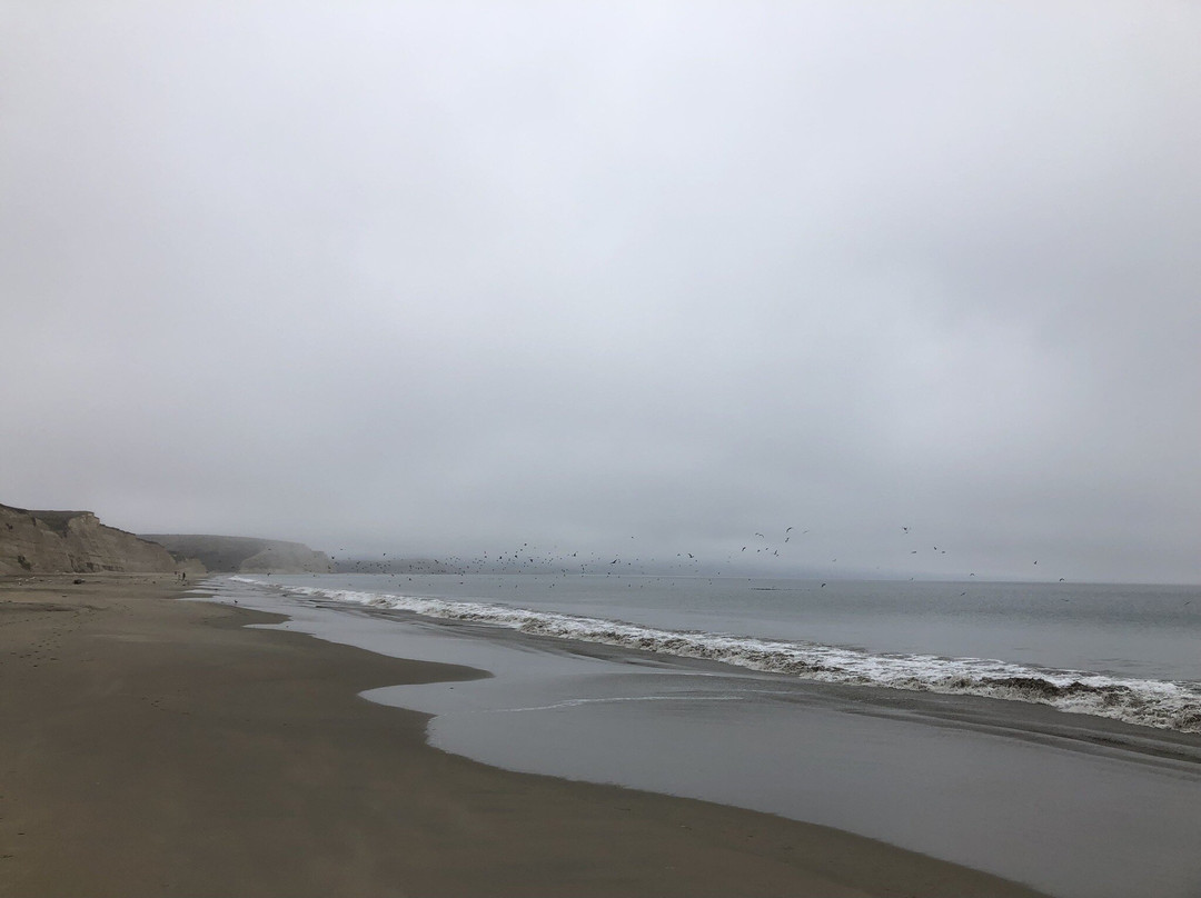 Point Reyes National Seashore-Point Reyes Station必去景点