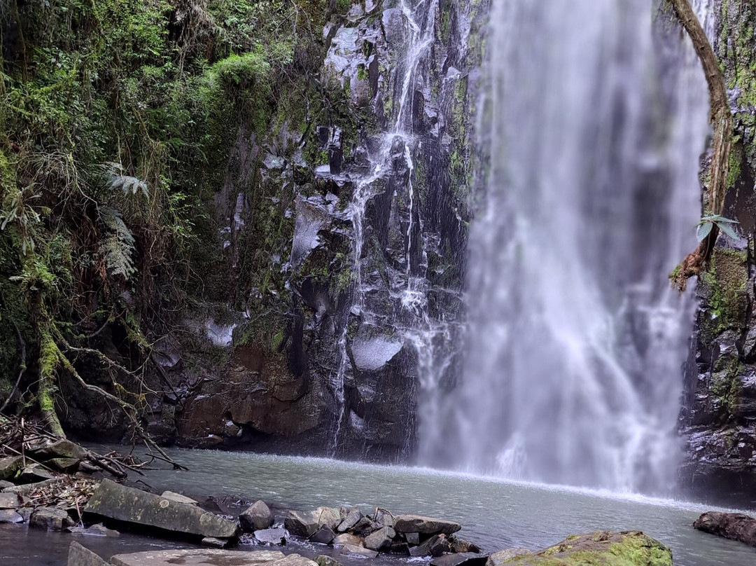 Bicho do Mato Ecoturismo-Videira必去景点